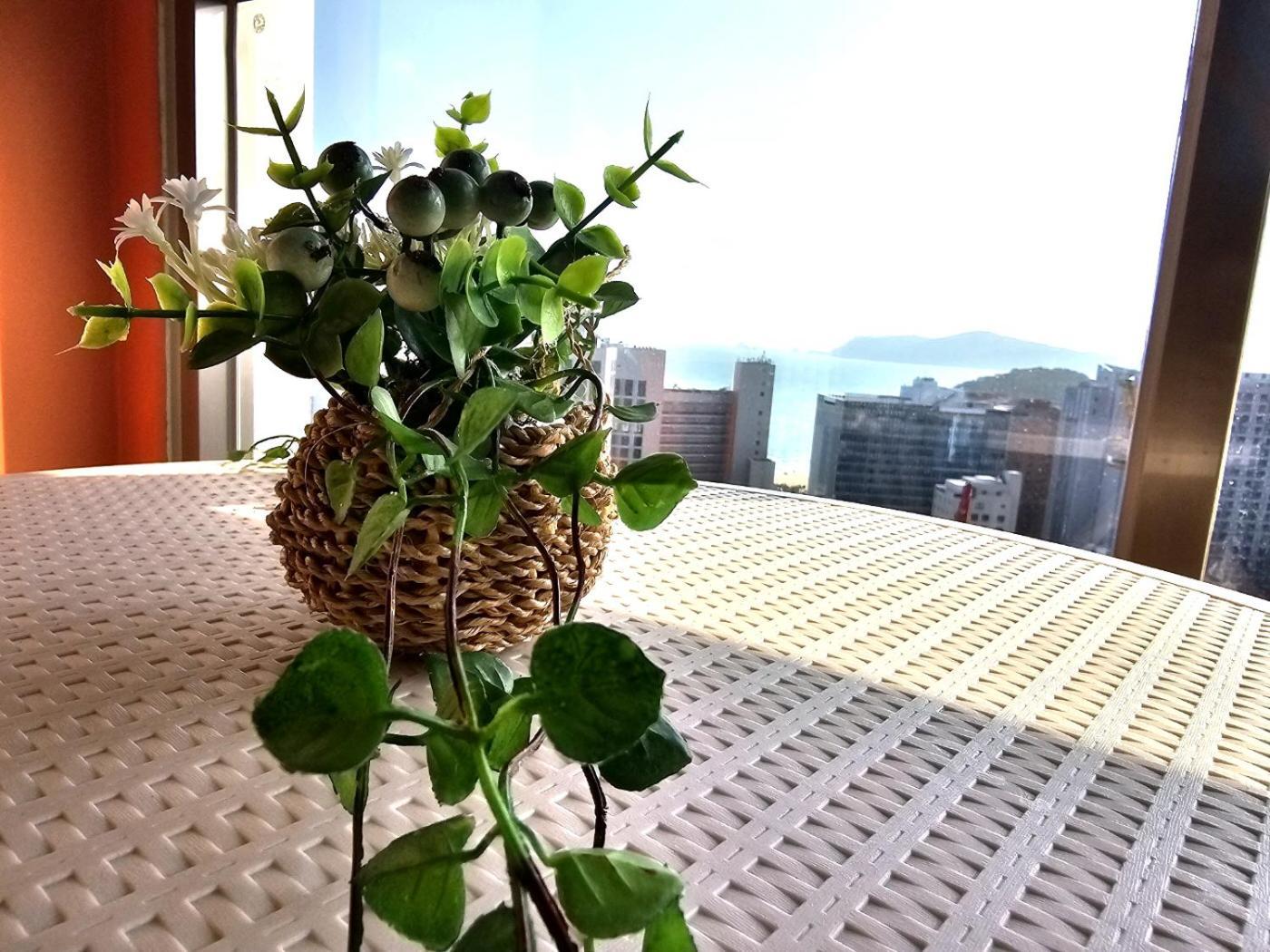 Raviens라비앙즈 Hotell Busan Exteriör bild